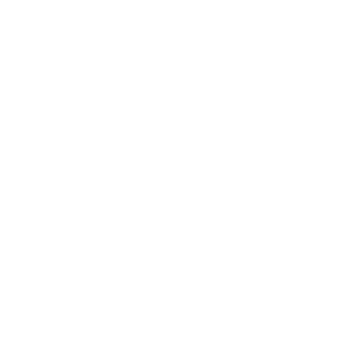 Local SEO Support