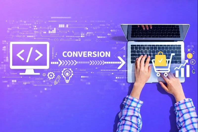 Website design showcase